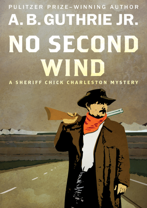 Cover image for book No Second Wind