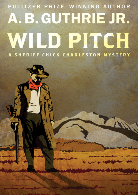 Cover image for book Wild Pitch
