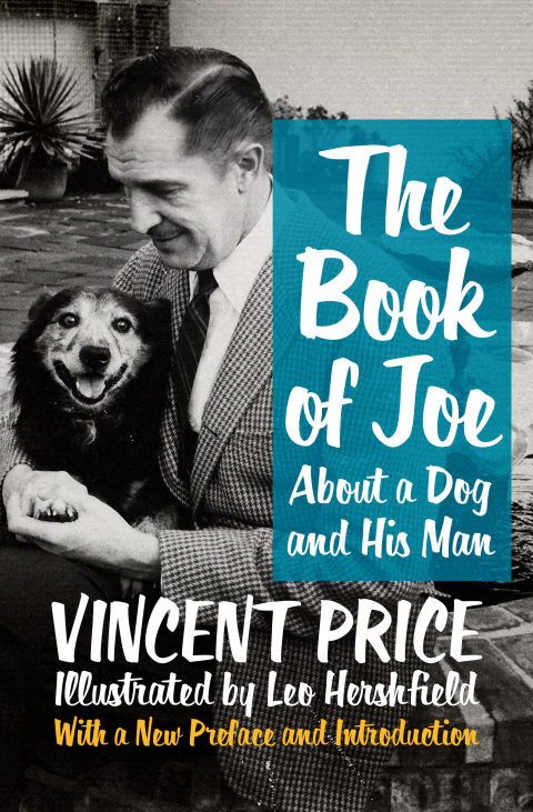 Cover image for book The Book of Joe