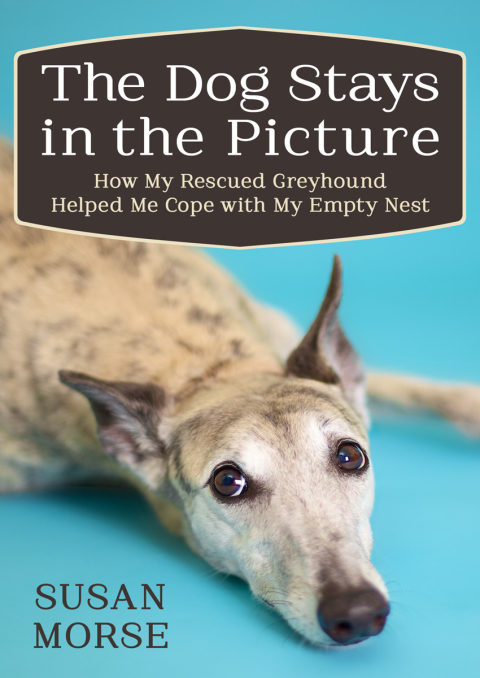 Cover image for book The Dog Stays in the Picture