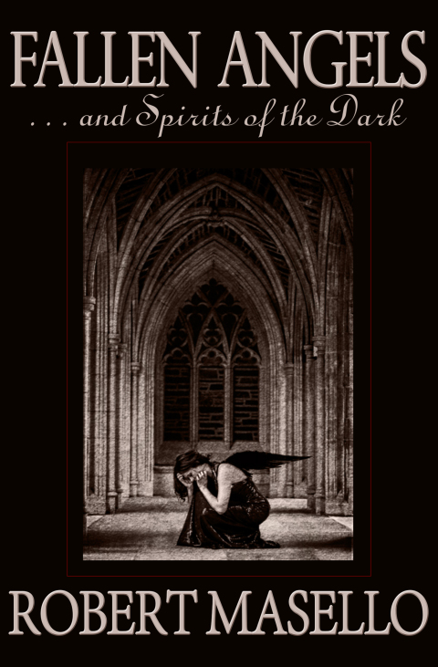 Cover image for book Fallen Angels