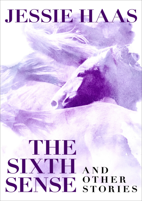 Cover image for book The Sixth Sense