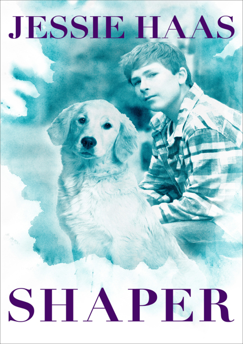 Cover image for book Shaper
