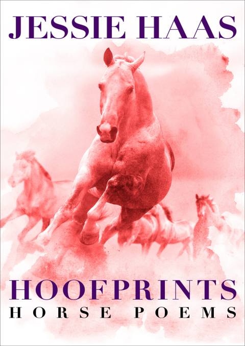 Cover image for book Hoofprints