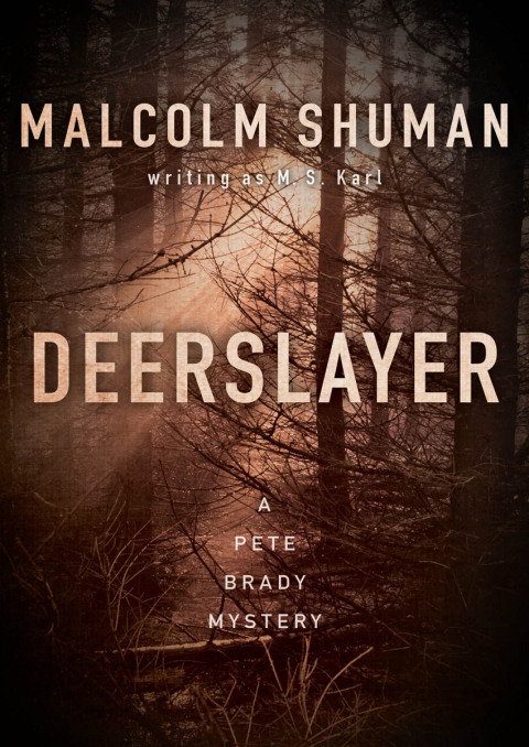 Cover image for book Deerslayer