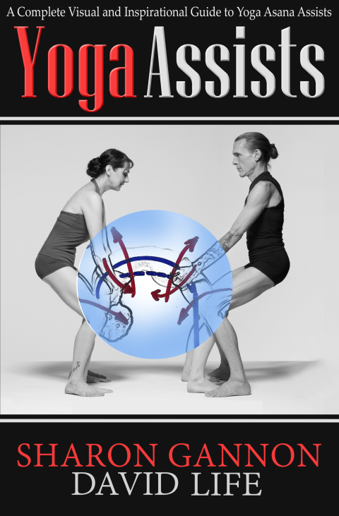 Cover image for book Yoga Assists