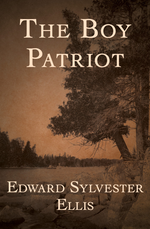 Cover image for book The Boy Patriot