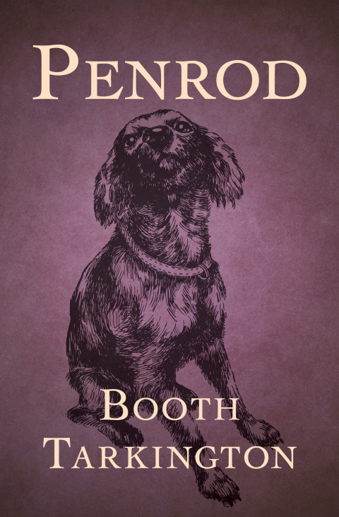 Cover image for book Penrod