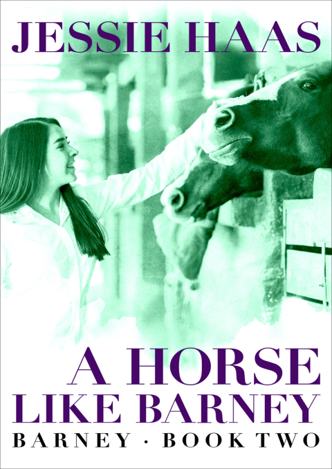 Cover image for book A Horse like Barney