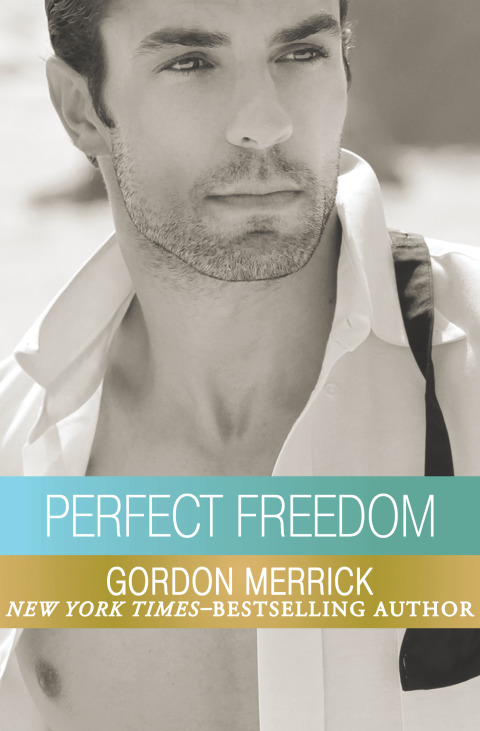 Cover image for book Perfect Freedom
