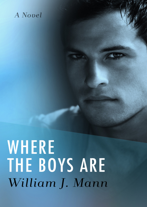 Cover image for book Where the Boys Are