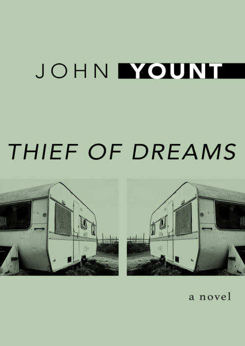Cover image for book Thief of Dreams