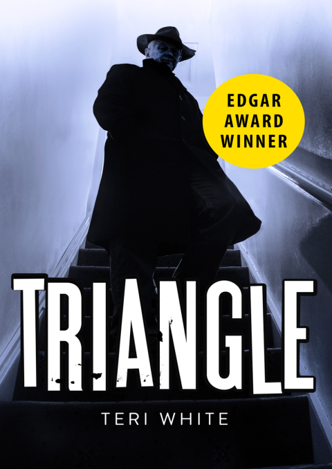 Cover image for book Triangle