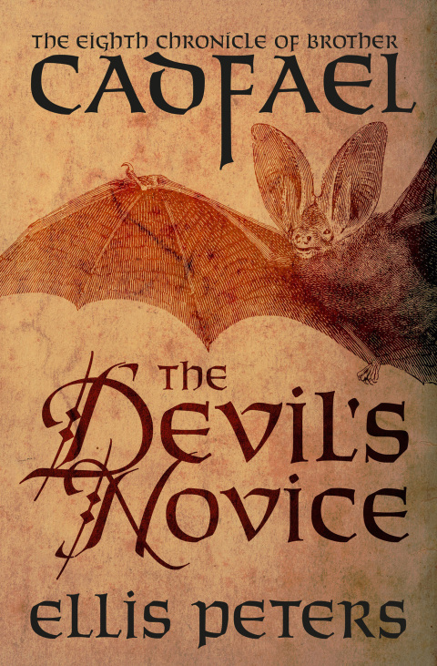 Cover image for book The Devil's Novice