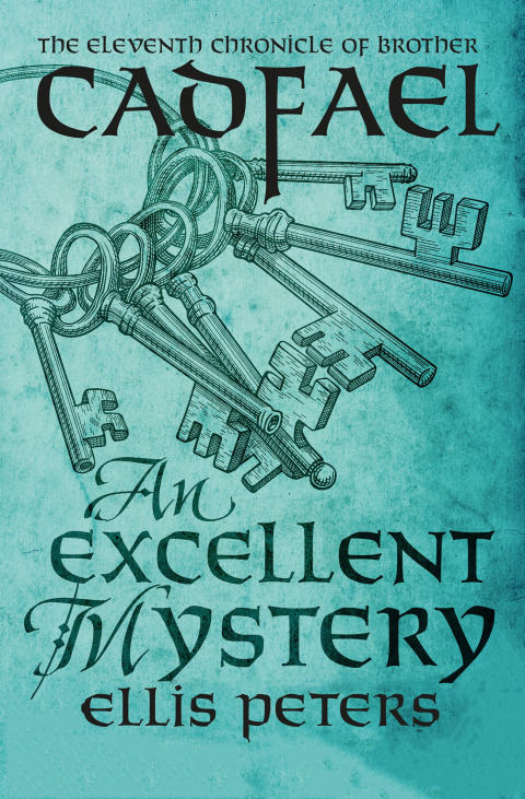 Cover image for book An Excellent Mystery