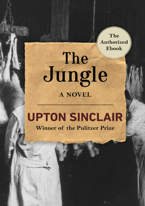 Cover image for book The Jungle