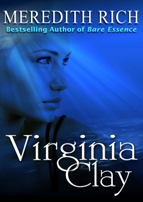 Cover image for book Virginia Clay