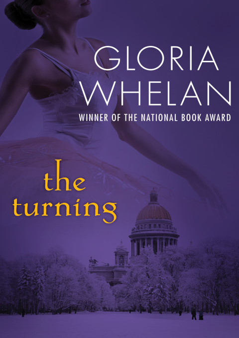 Cover image for book The Turning