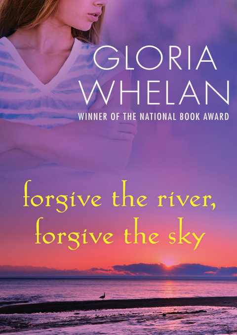 Cover image for book Forgive the River, Forgive the Sky
