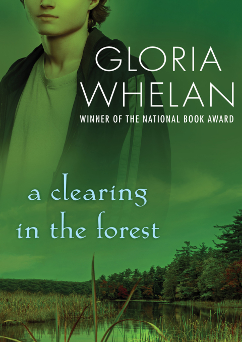 Cover image for book A Clearing in the Forest