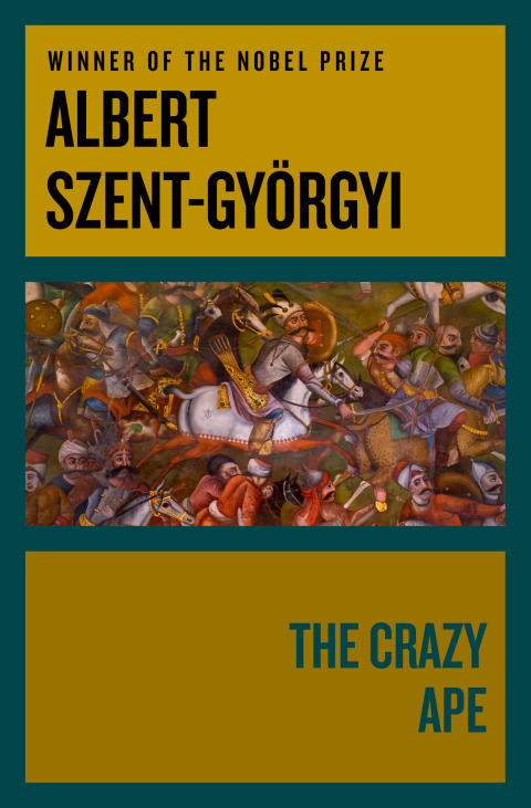 Cover image for book The Crazy Ape