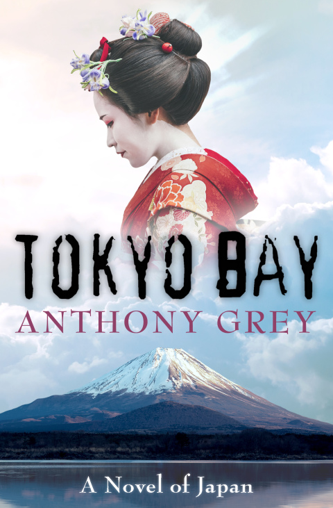 Cover image for book Tokyo Bay