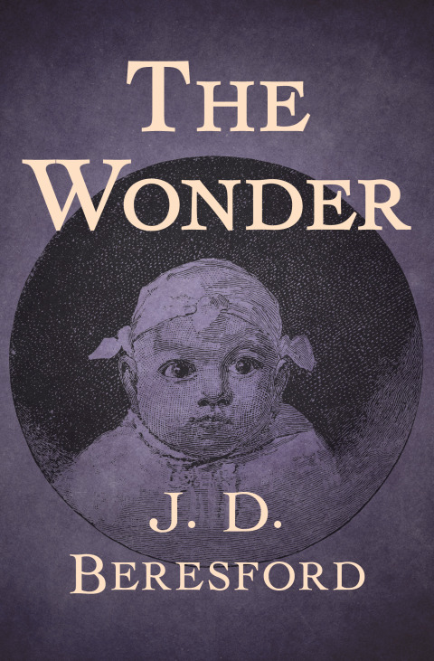 Cover image for book The Wonder