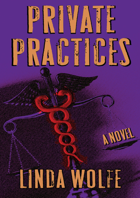 Cover image for book Private Practices