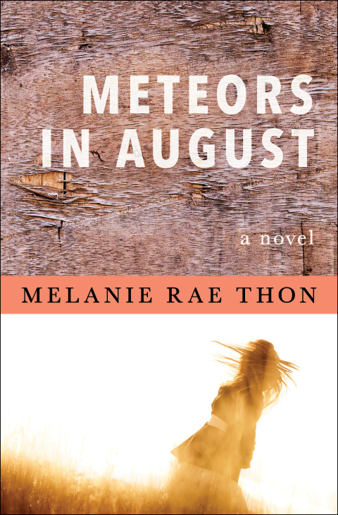 Cover image for book Meteors in August