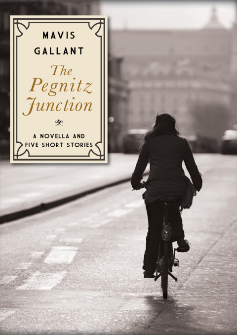 Cover image for book The Pegnitz Junction