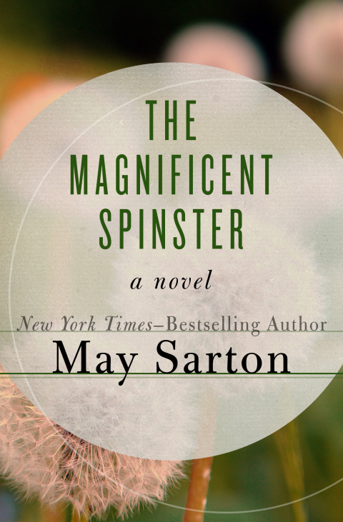 Cover image for book The Magnificent Spinster