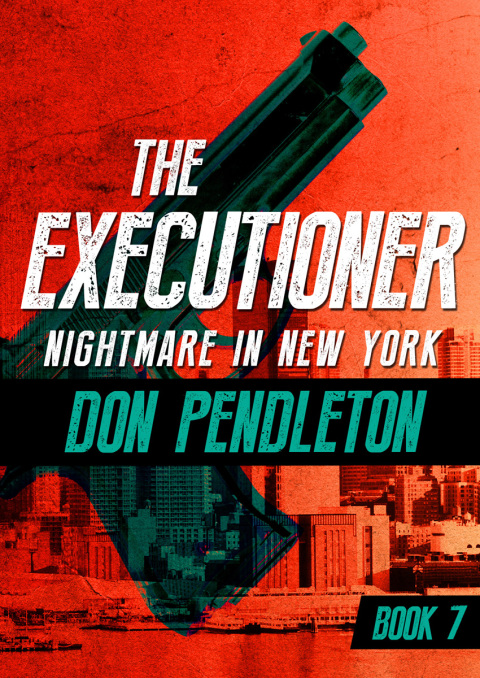 Cover image for book Nightmare in New York