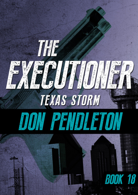 Cover image for book Texas Storm