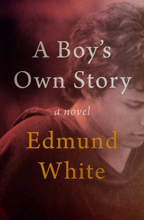 Cover image for book A Boy's Own Story