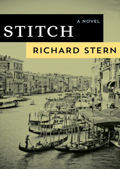 Cover image for book Stitch