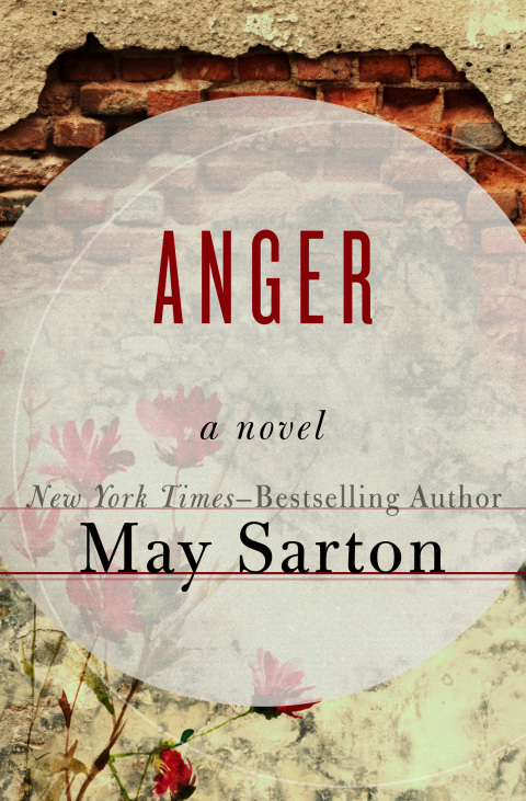 Cover image for book Anger
