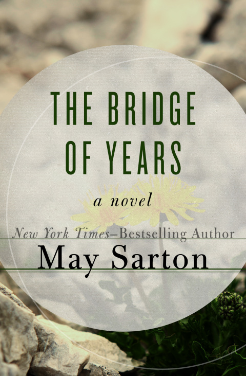 Cover image for book The Bridge of Years