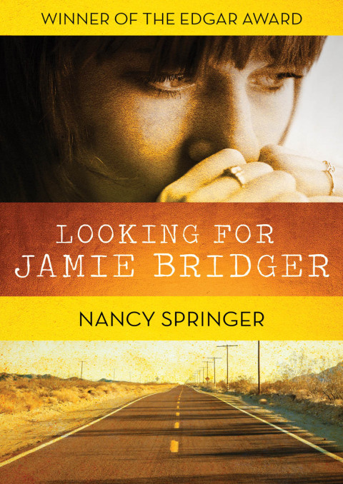 Cover image for book Looking for Jamie Bridger