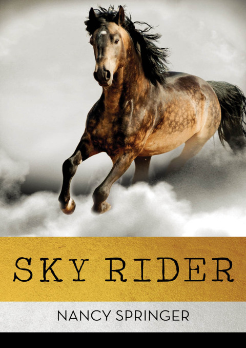 Cover image for book Sky Rider