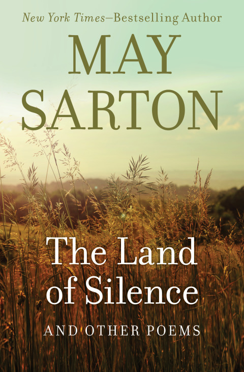 Cover image for book The Land of Silence