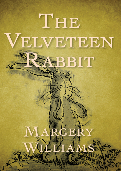 Cover image for book The Velveteen Rabbit