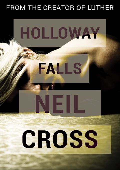 Cover image for book Holloway Falls