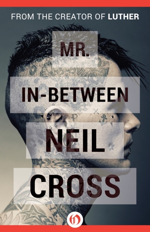 Cover image for book Mr. In-Between