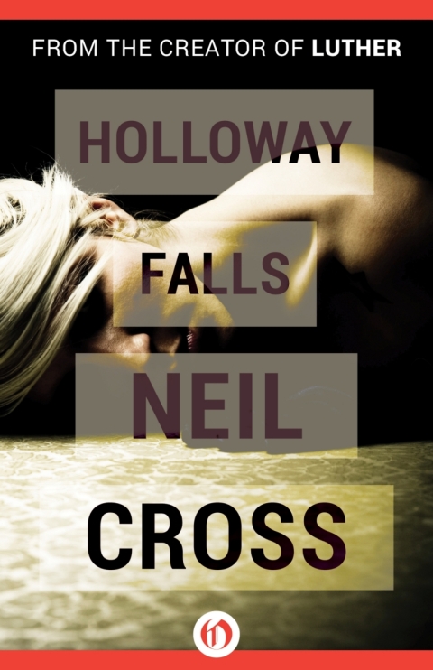 Cover image for book Holloway Falls
