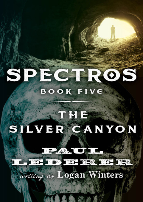 Cover image for book The Silver Canyon