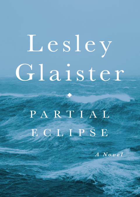 Cover image for book Partial Eclipse