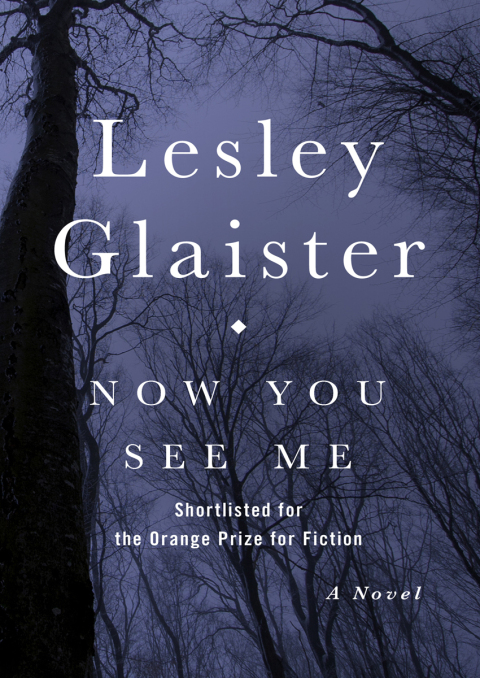 Cover image for book Now You See Me