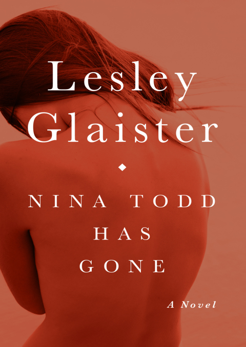 Cover image for book Nina Todd Has Gone
