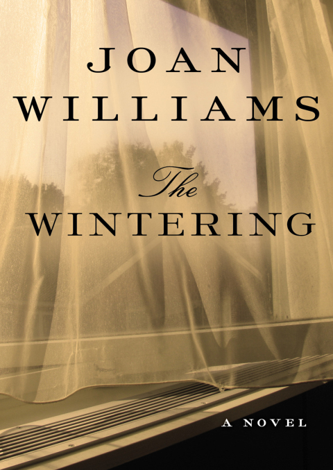 Cover image for book The Wintering