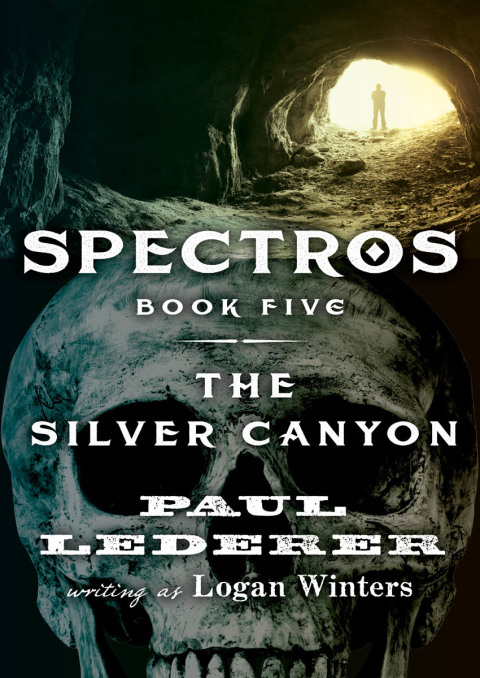 Cover image for book The Silver Canyon